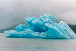 See icebergs and glaciers in Alaska!