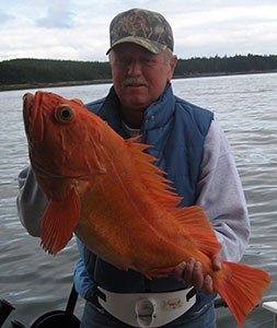 Great Rock Fish catch on Alaska fishing adventure